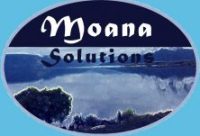 Moana Solutions IT Consultants for LAN and WAN, Wireless Network Setup, Microwave Links, Starlink, Routers, Wireless Access Points, and Wireless Hotspots